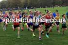 Boys Under-13s relay, 2025 Northern Cross Country Relays, Graves Park, Sheffield. Photo: David T. Hewitson/Sports for All Pics